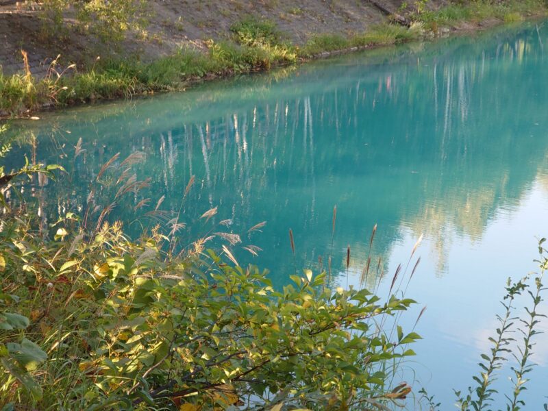 青い池の水面